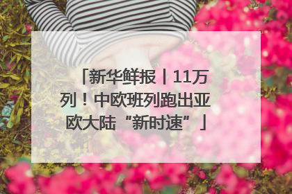 新华鲜报丨11万列！中欧班列跑出亚欧大陆“新时速”